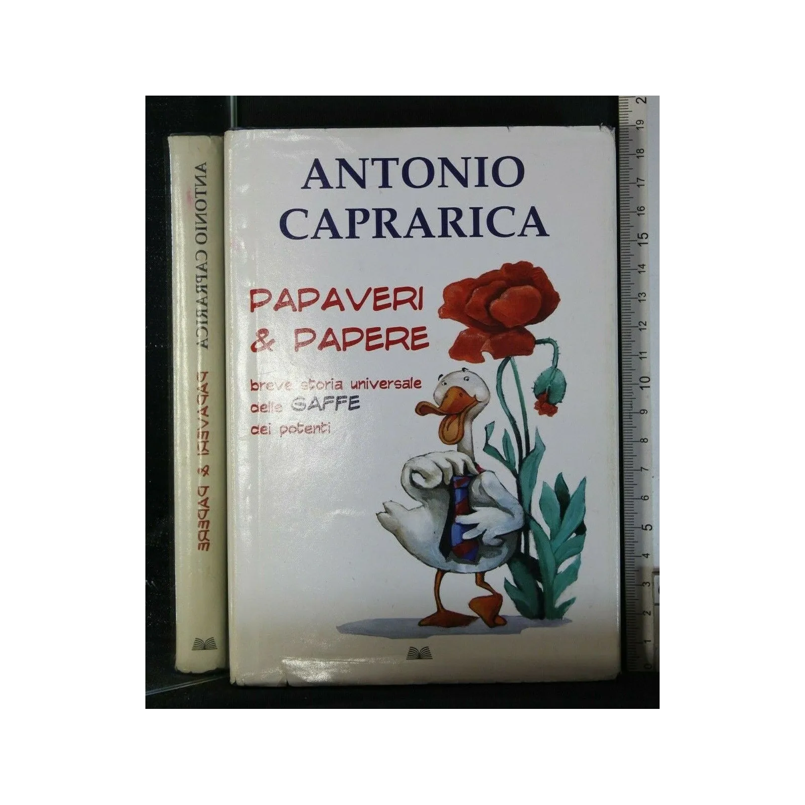 PAPAVERI & PAPERE