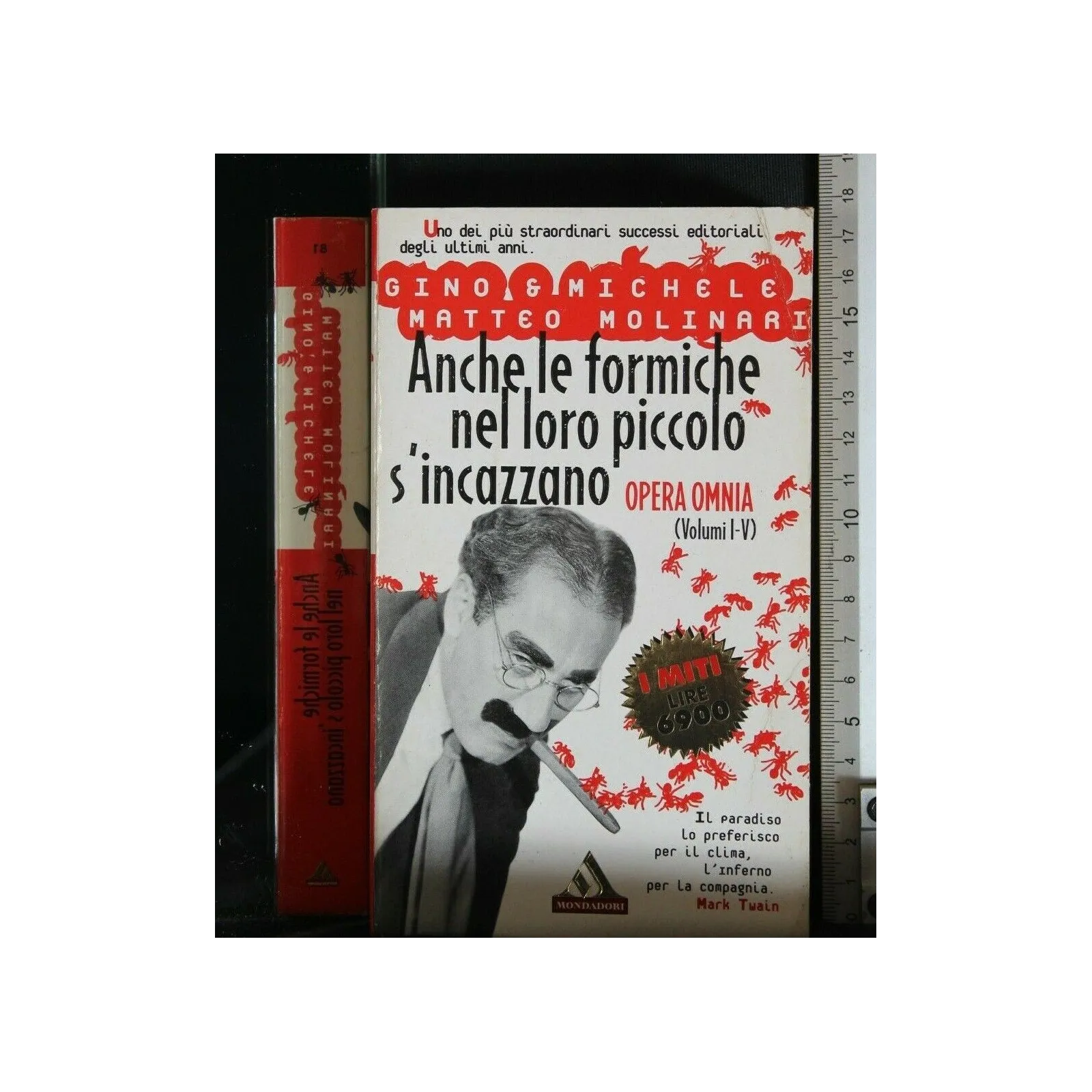 ANCHE LE FORMICHE NEL LORO PICCOLO S'INCAZZANO