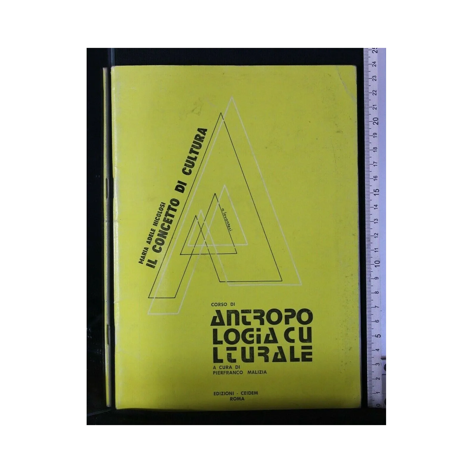 IL CONCETTO DI CULTURA CORSO DI ANTROPOLOGIA CULTURALE