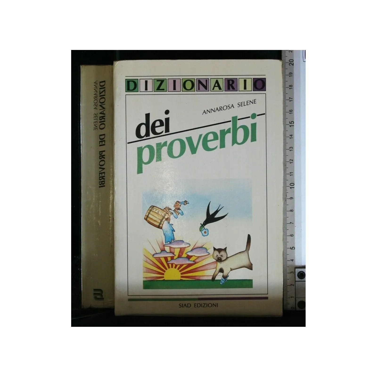 DIZIONARIO DEI PROVERBI