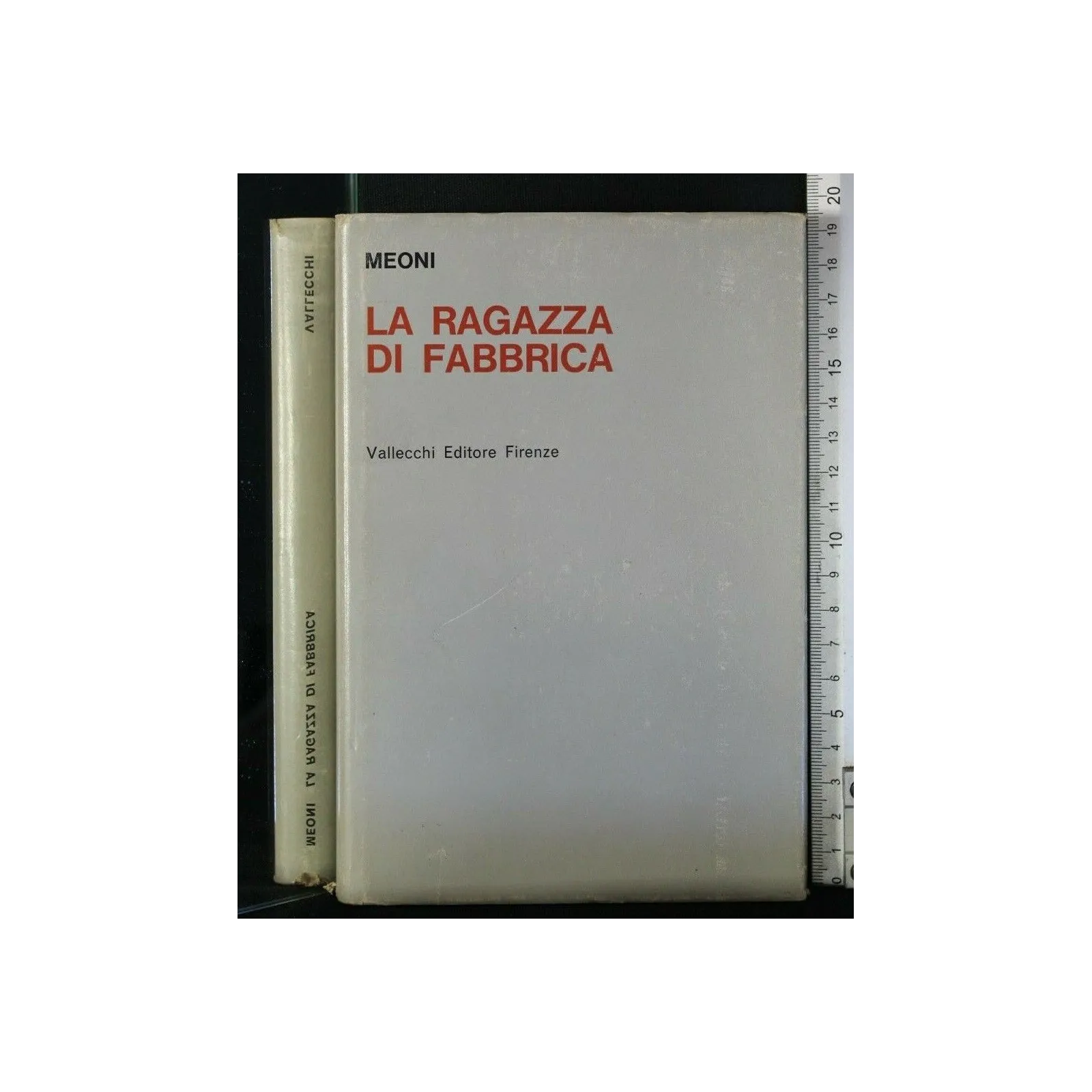 LA RAGAZZA DI FABBRICA