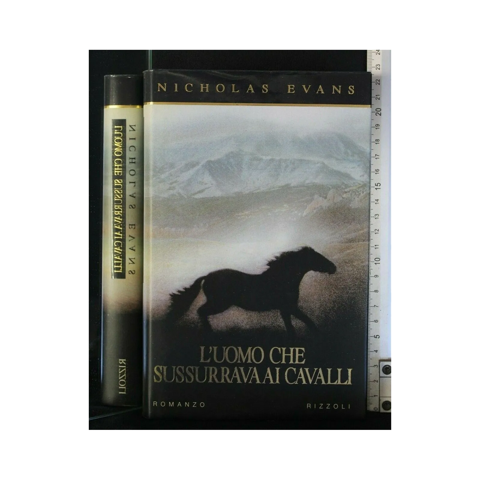L'UOMO CHE SUSSURRAVA AI CAVALLI