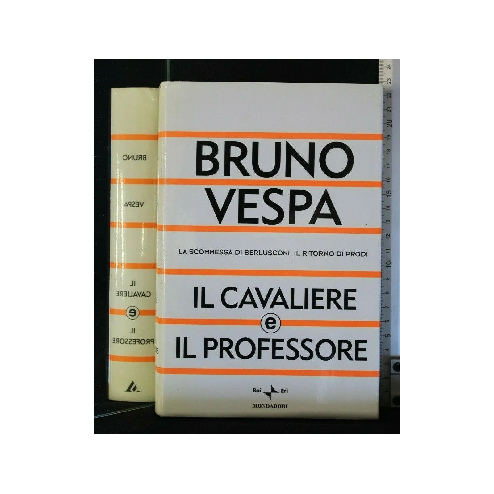 IL CAVALIERE E IL PROFESSORE