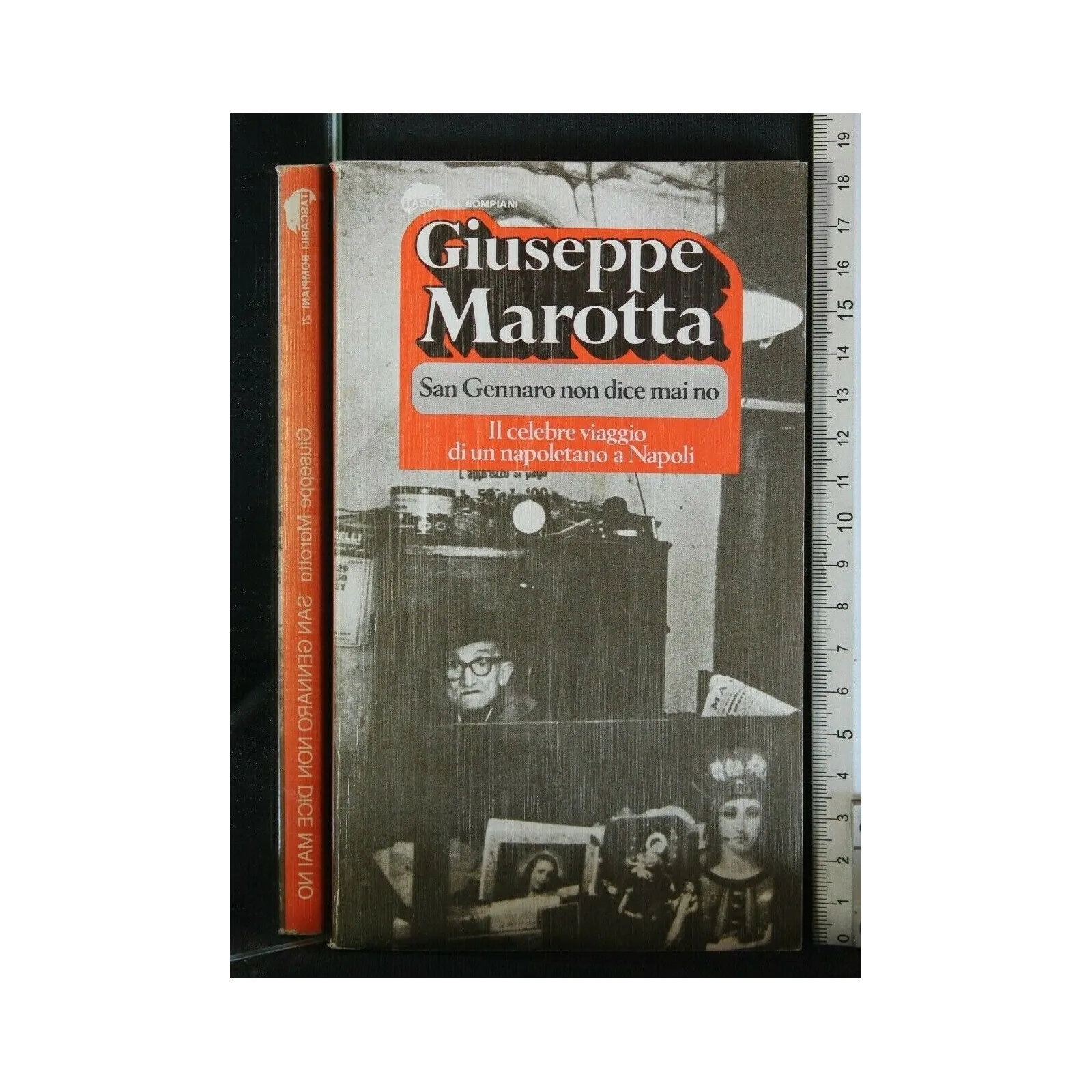 SAN GENNARO NON DICE MAI DI NO IL CELEBRE VIAGGIO DI UN