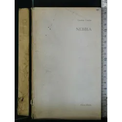 NEBBIA