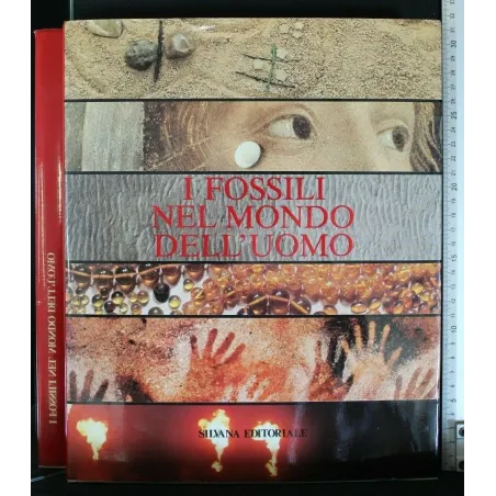 I FOSSILI NEL MONDO DELL'UOMO