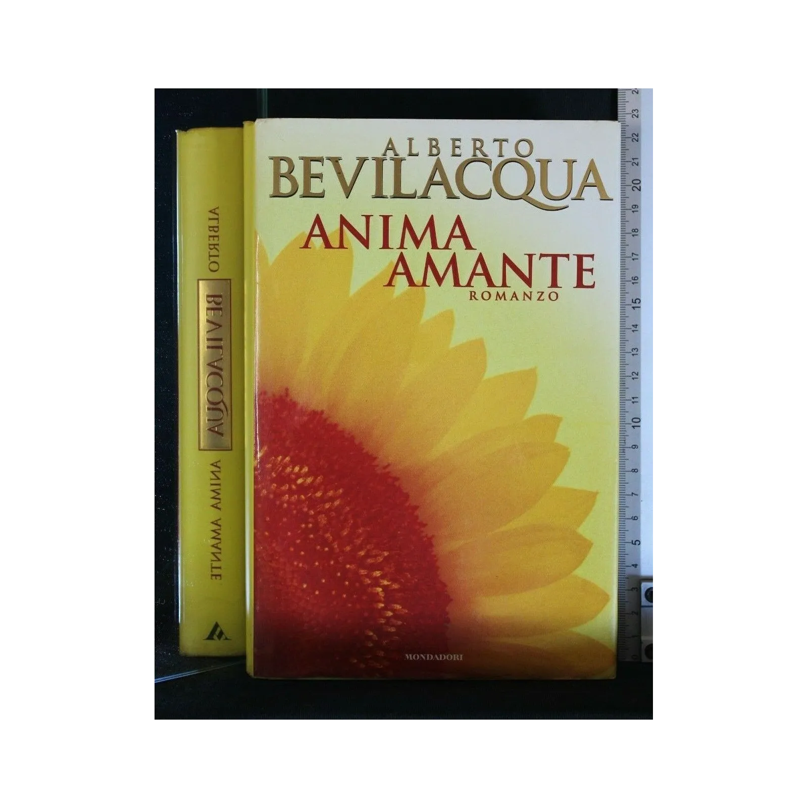 ANIMA AMANTE