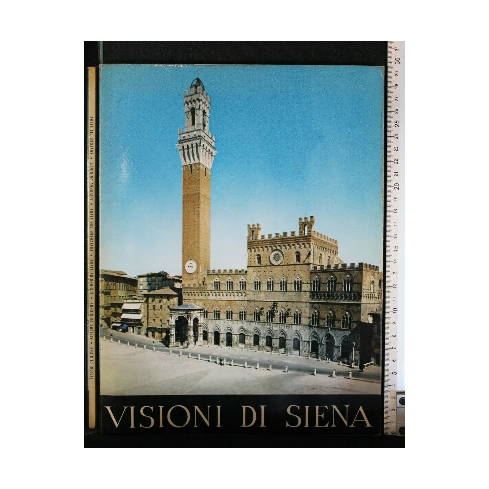 VISIONI DI SIENA