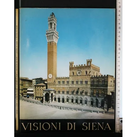 VISIONI DI SIENA