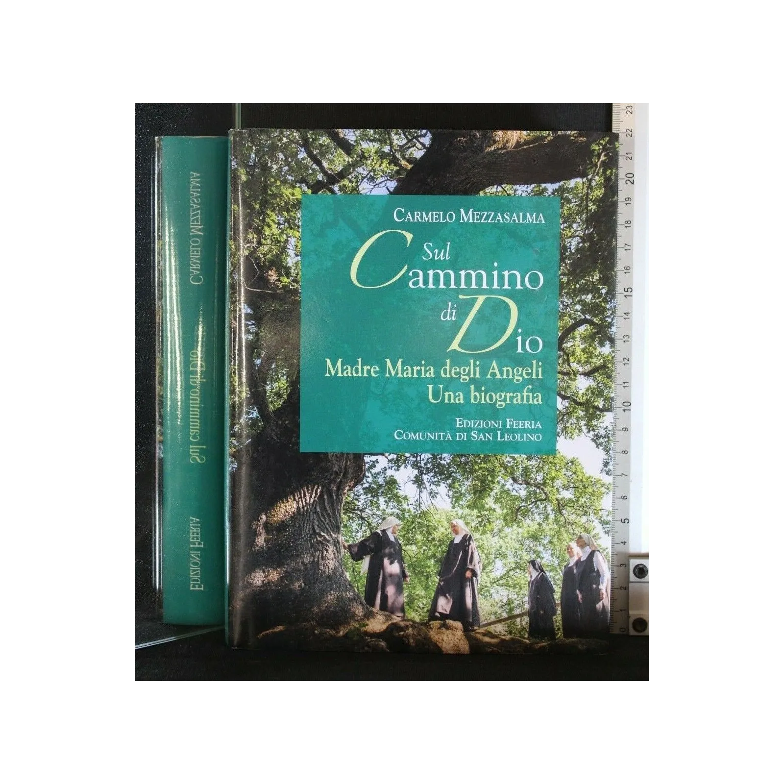 SUL CAMMINO DI DIO MADRE MARIA DEGLI ANGELI UNA BIOGRAFIA