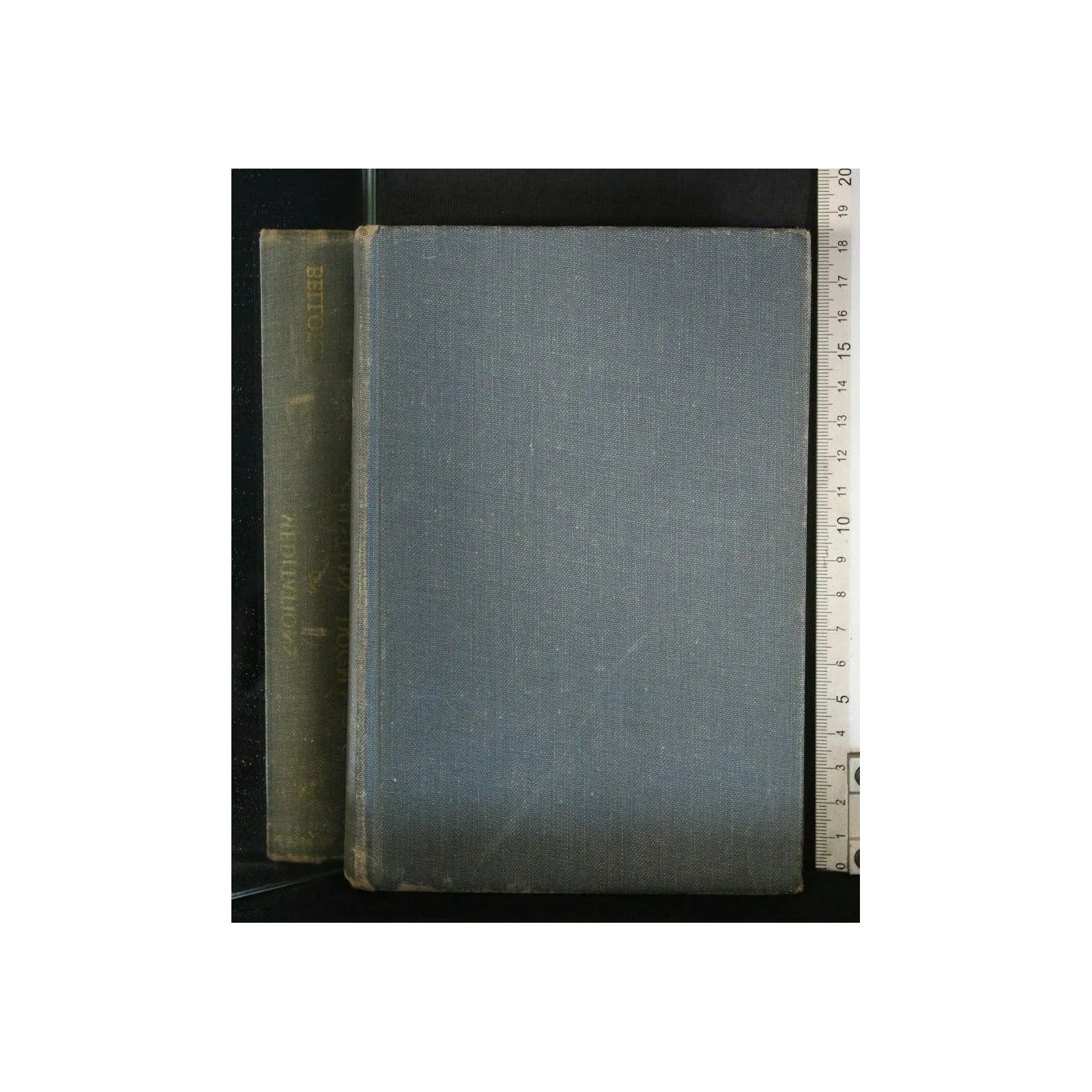 MEDITATIONS ON CHRISTIAN DOGMA VOLUME 2