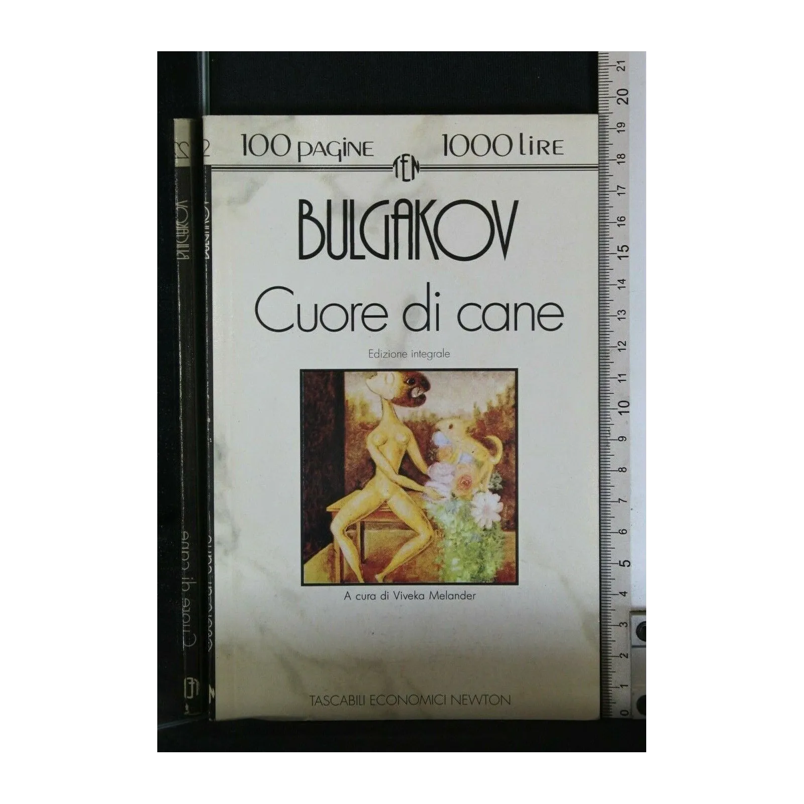 CENTOPAGINE CUORE DI CANE
