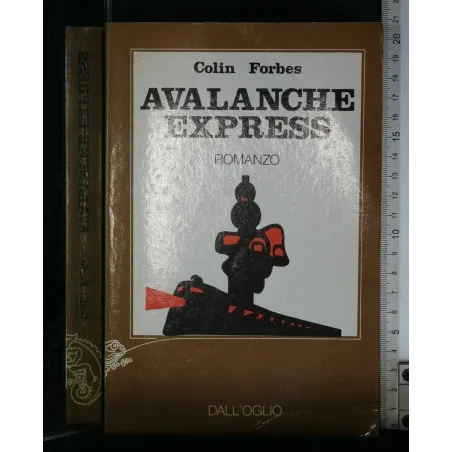 AVALANCHE EXPRESS