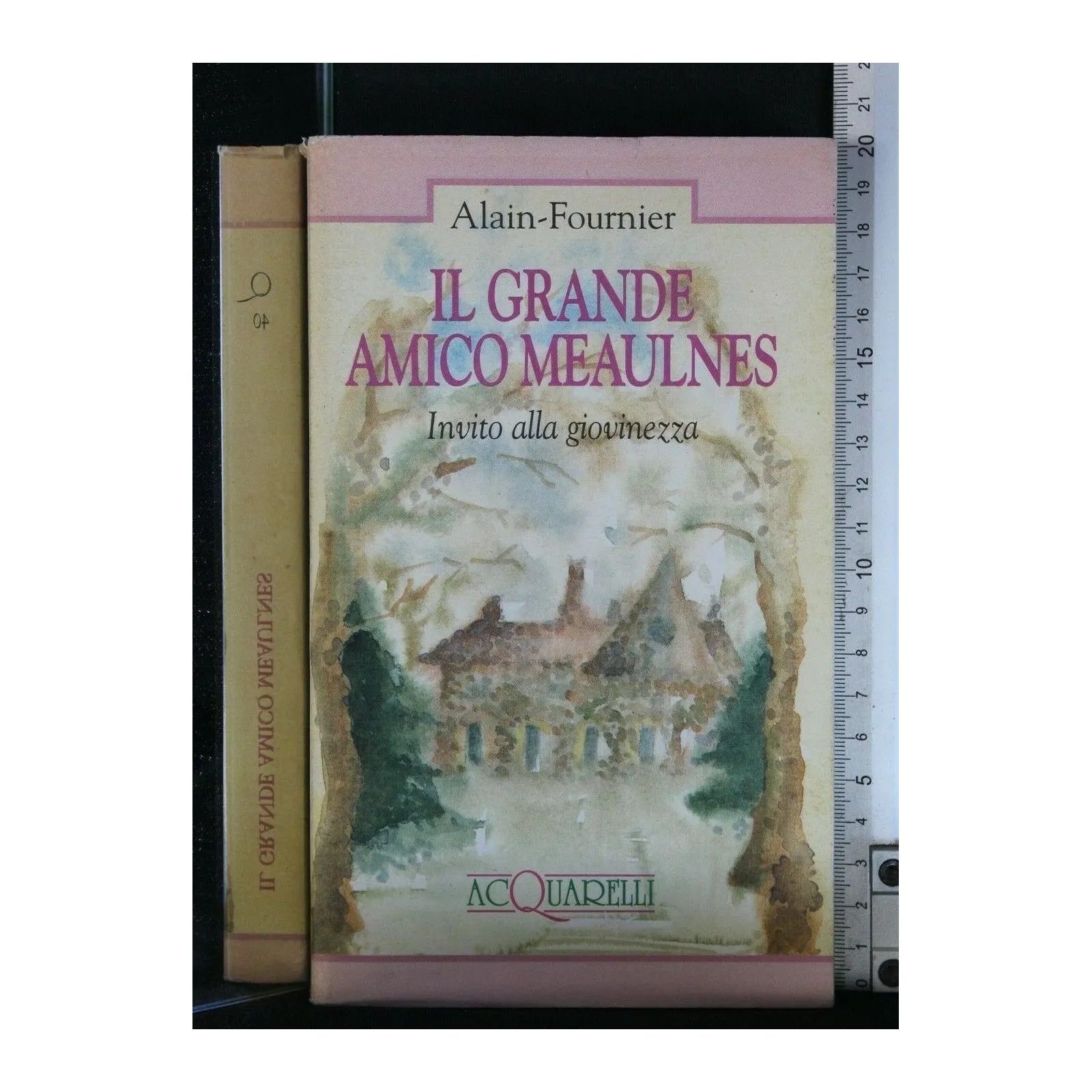 IL GRANDE AMICO MEAULNES