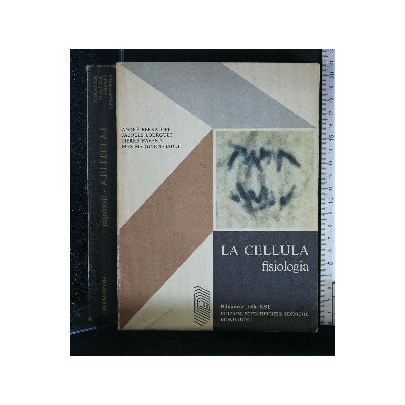 LA CELLULA FISIOLOGIA