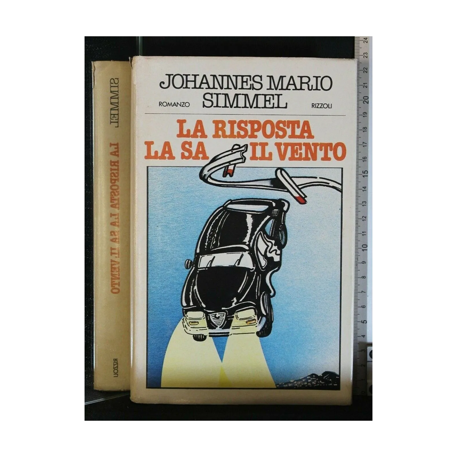 LA RISPOSTA LA SA IL VENTO