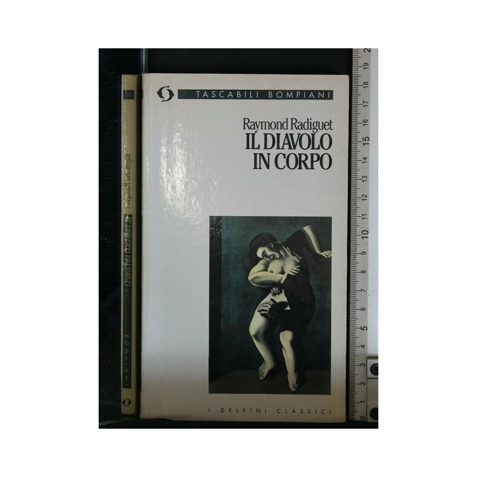 IL DIAVOLO IN CORPO