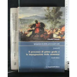 SPIEGAZIONI DI DIRITTO PROCESSUALE CIVILE. VOL 3. IL PROCESSO...