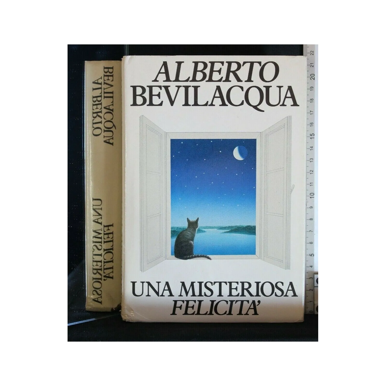 UNA MISTERIOSA FELICITA'