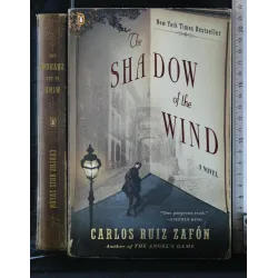 THE SHADOW OF THE WIND