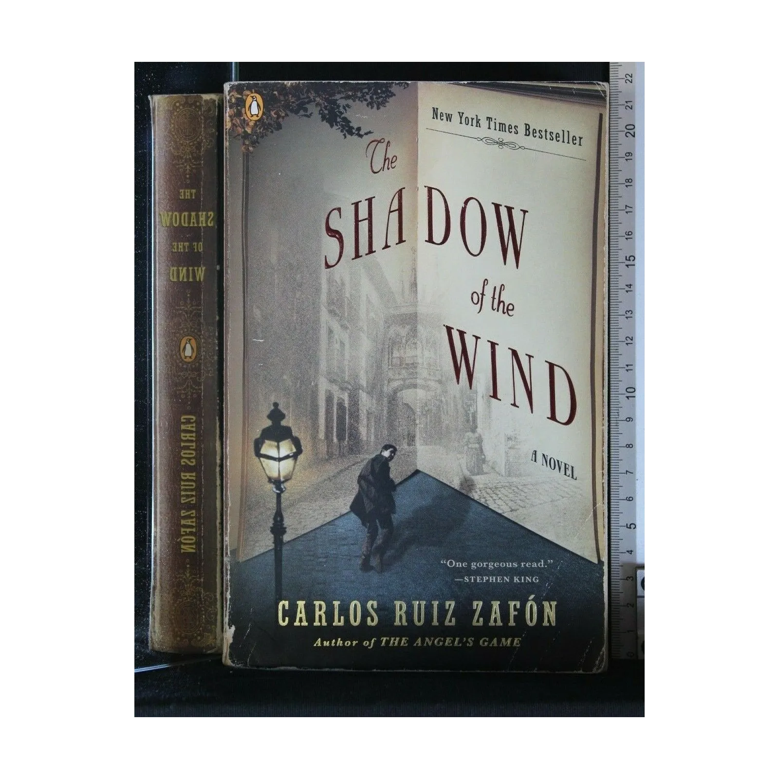 THE SHADOW OF THE WIND