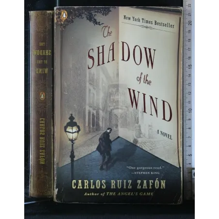 THE SHADOW OF THE WIND