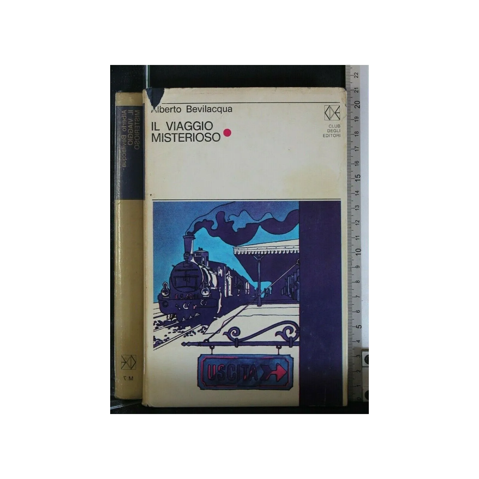 IL VIAGGIO MISTERIOSO