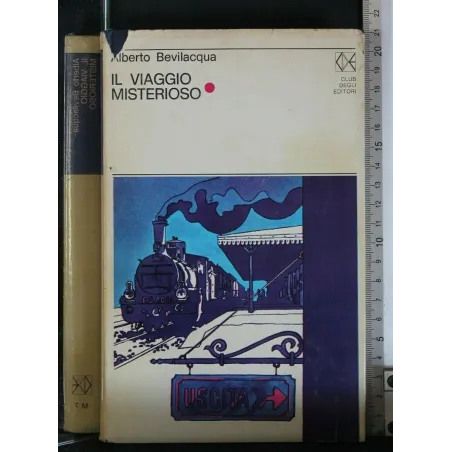 IL VIAGGIO MISTERIOSO
