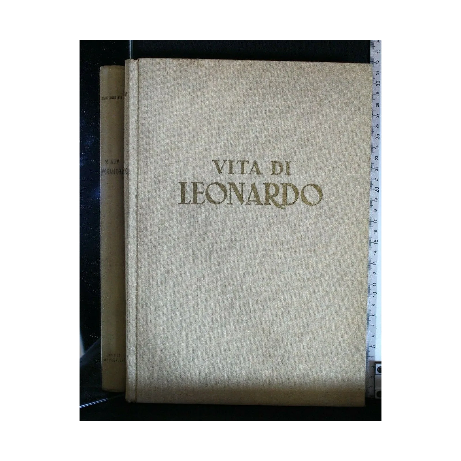 VITA DI LEONARDO DISEGNI E TAVOLE DI ZAT