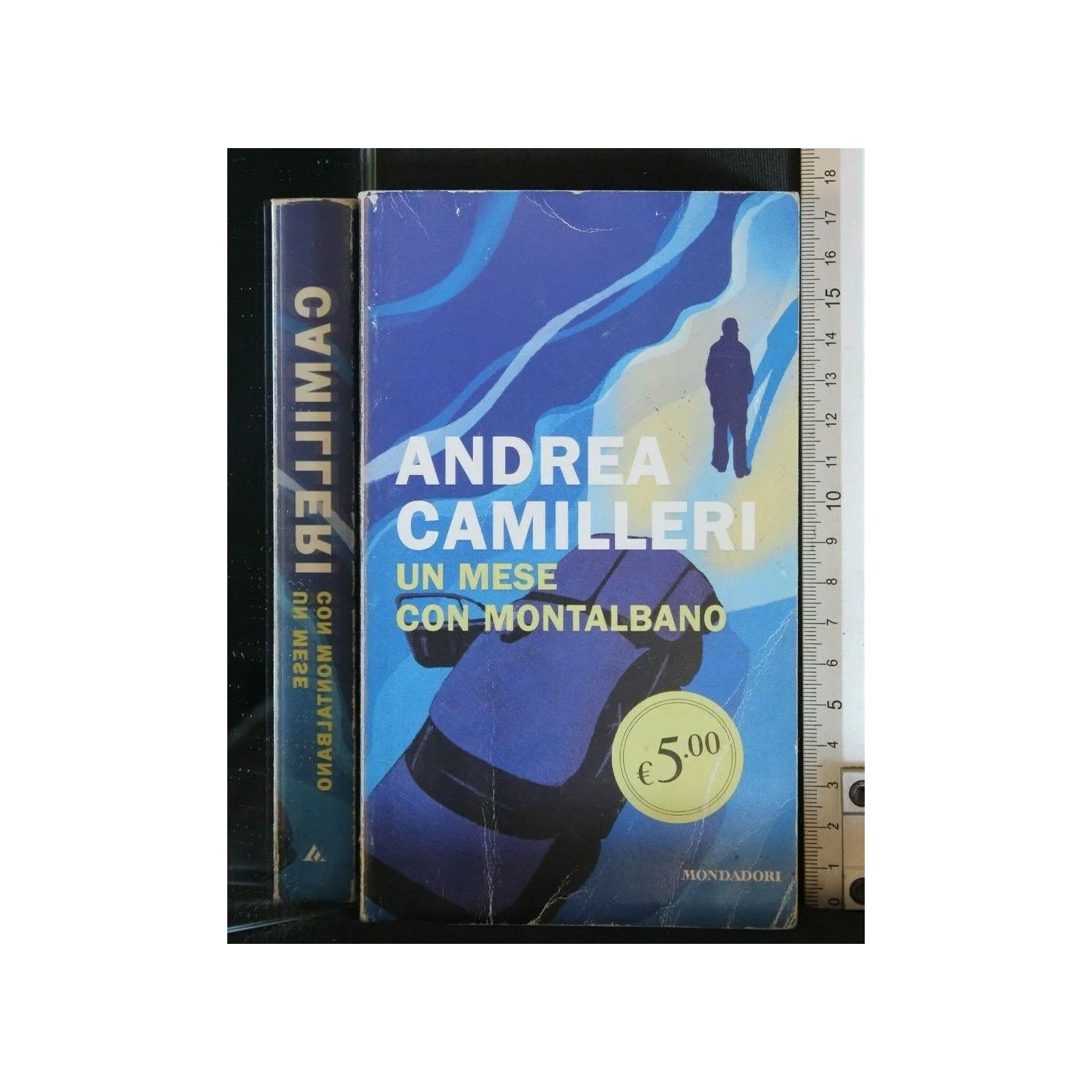 UN MESE CON MONTALBANO