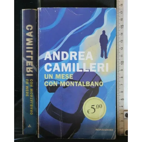 UN MESE CON MONTALBANO