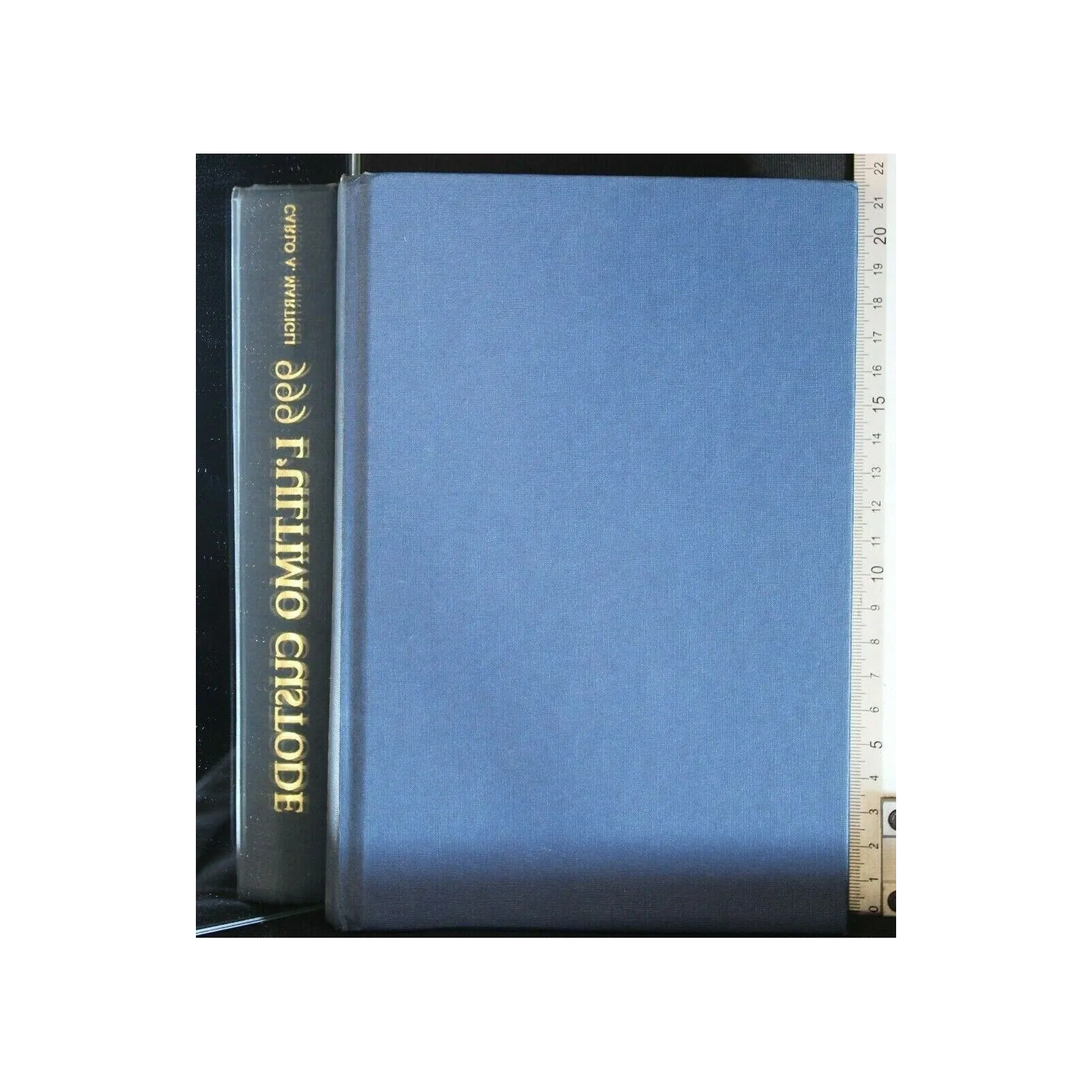 999 L'ULTIMO CUSTODE
