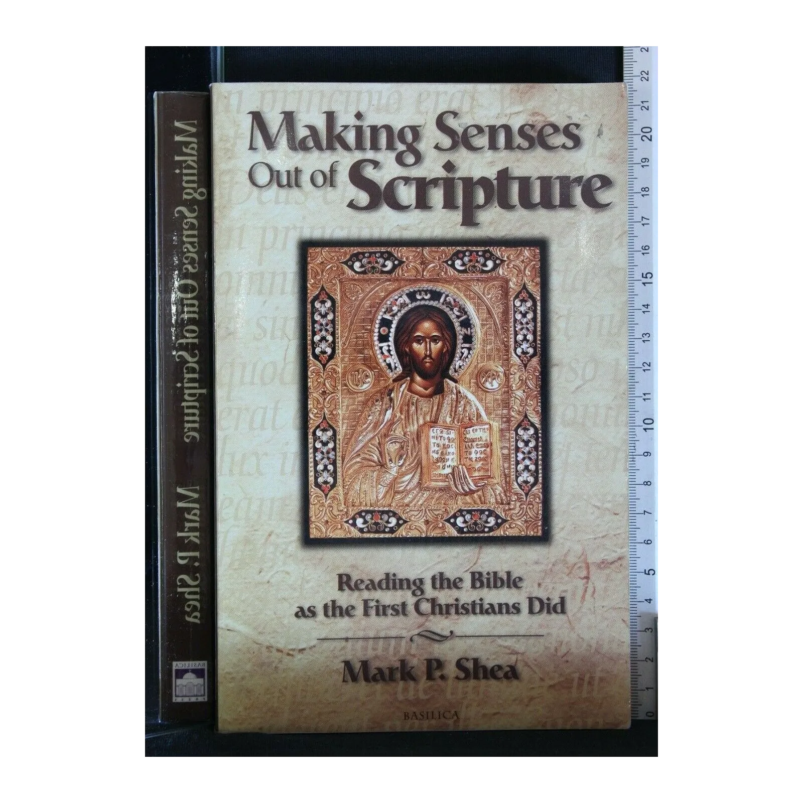 MAKING SENSES OUT OF SCRIPTURE