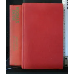 IL CATTIVO FRATELLO