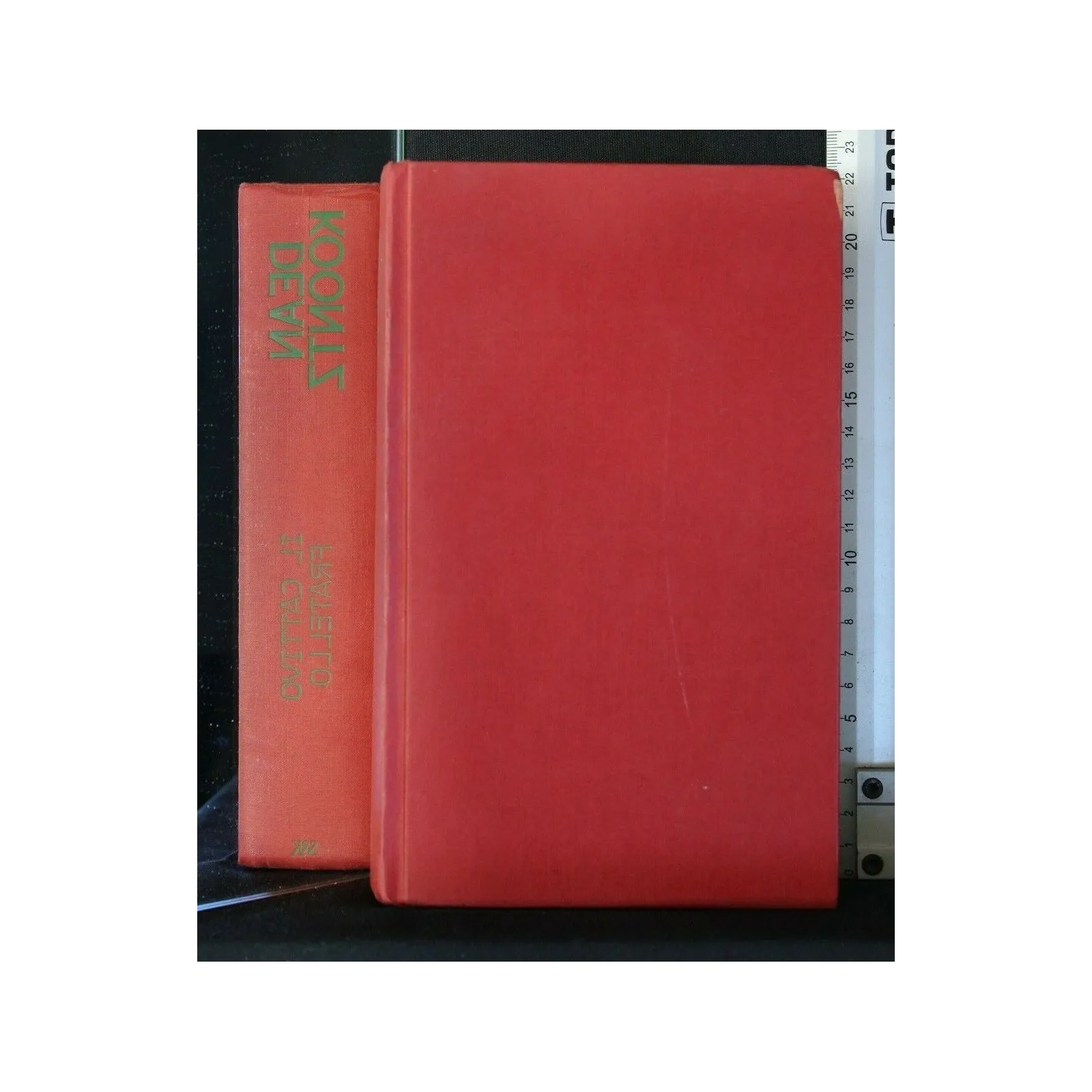 IL CATTIVO FRATELLO
