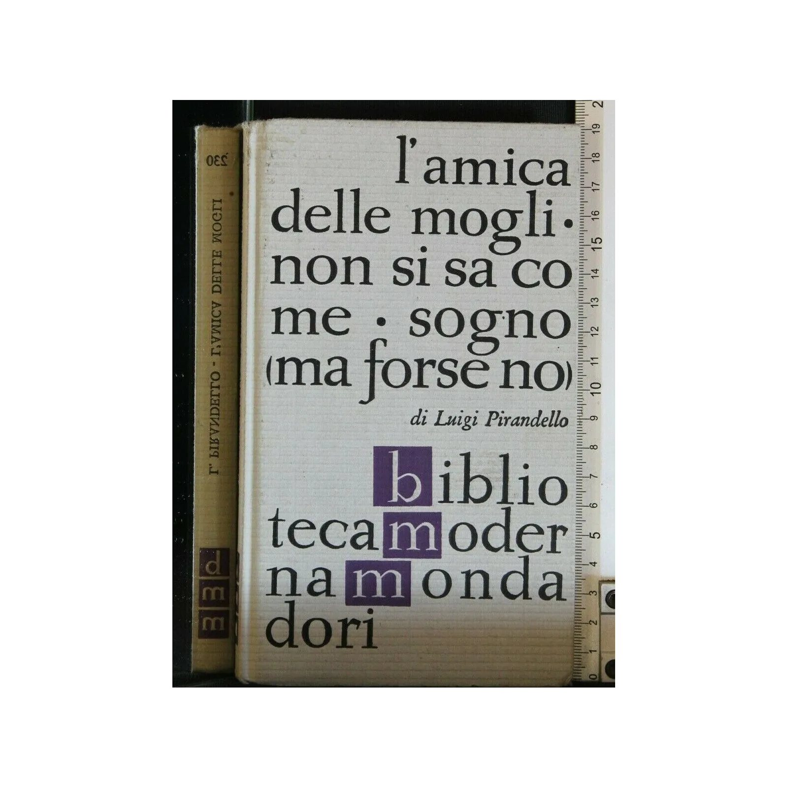 BMM. L'AMICA DELLE MOGLI. NON SI SA COME. SOGNO (MA FORSE NO).