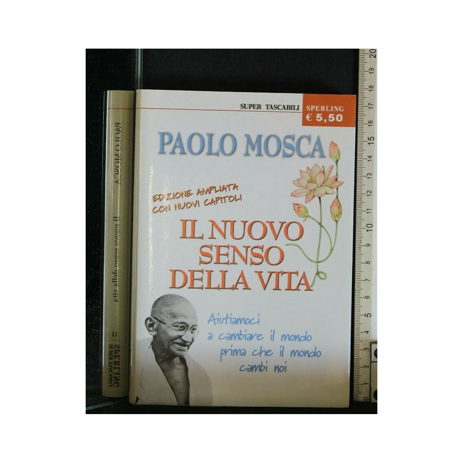 IL NUOVO SENSO DELLA VITA