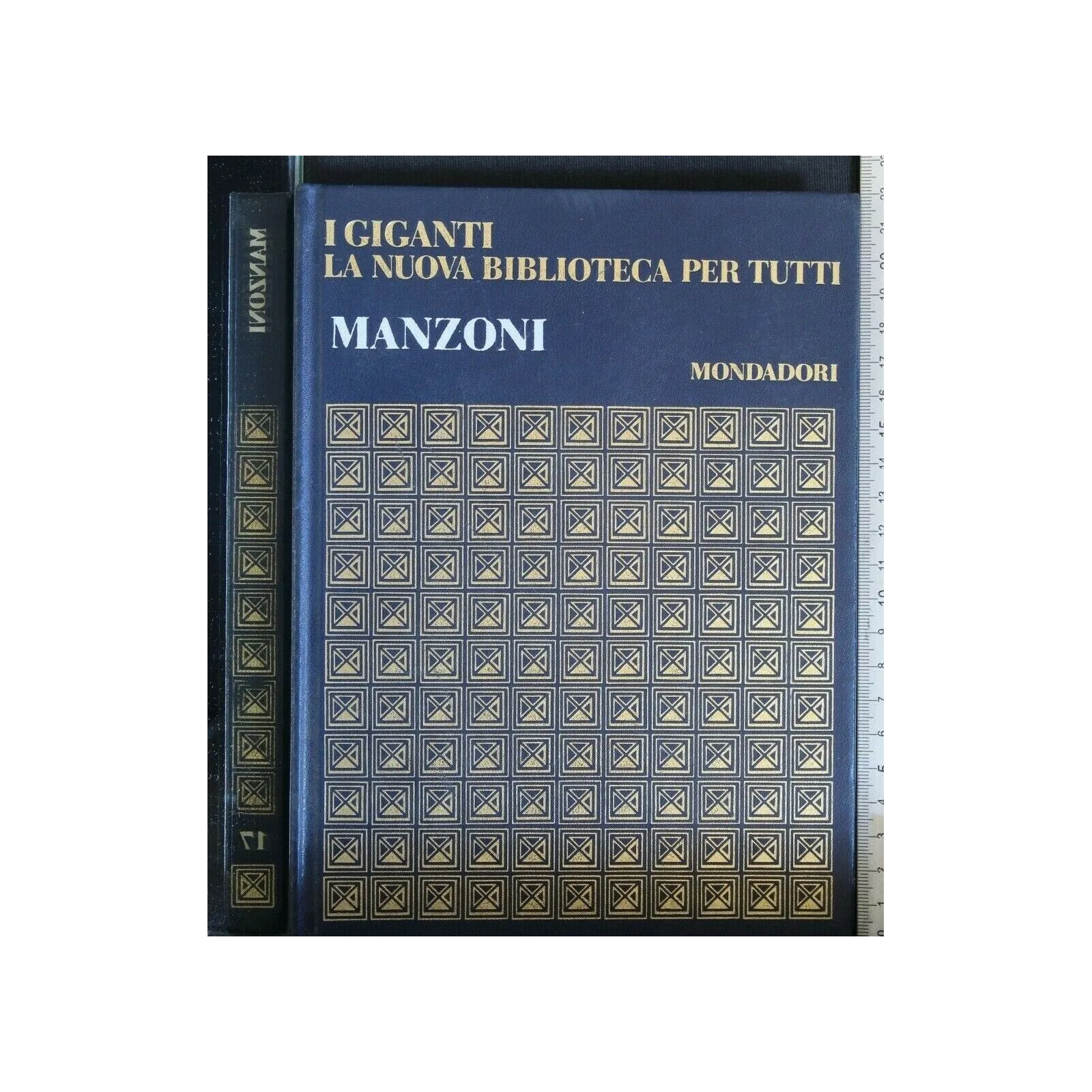 I GIGANTI LA NUOVA BIBLIOTECA PER TUTTI MANZONI