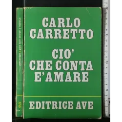 CIO' CHE CONTA E' AMARE