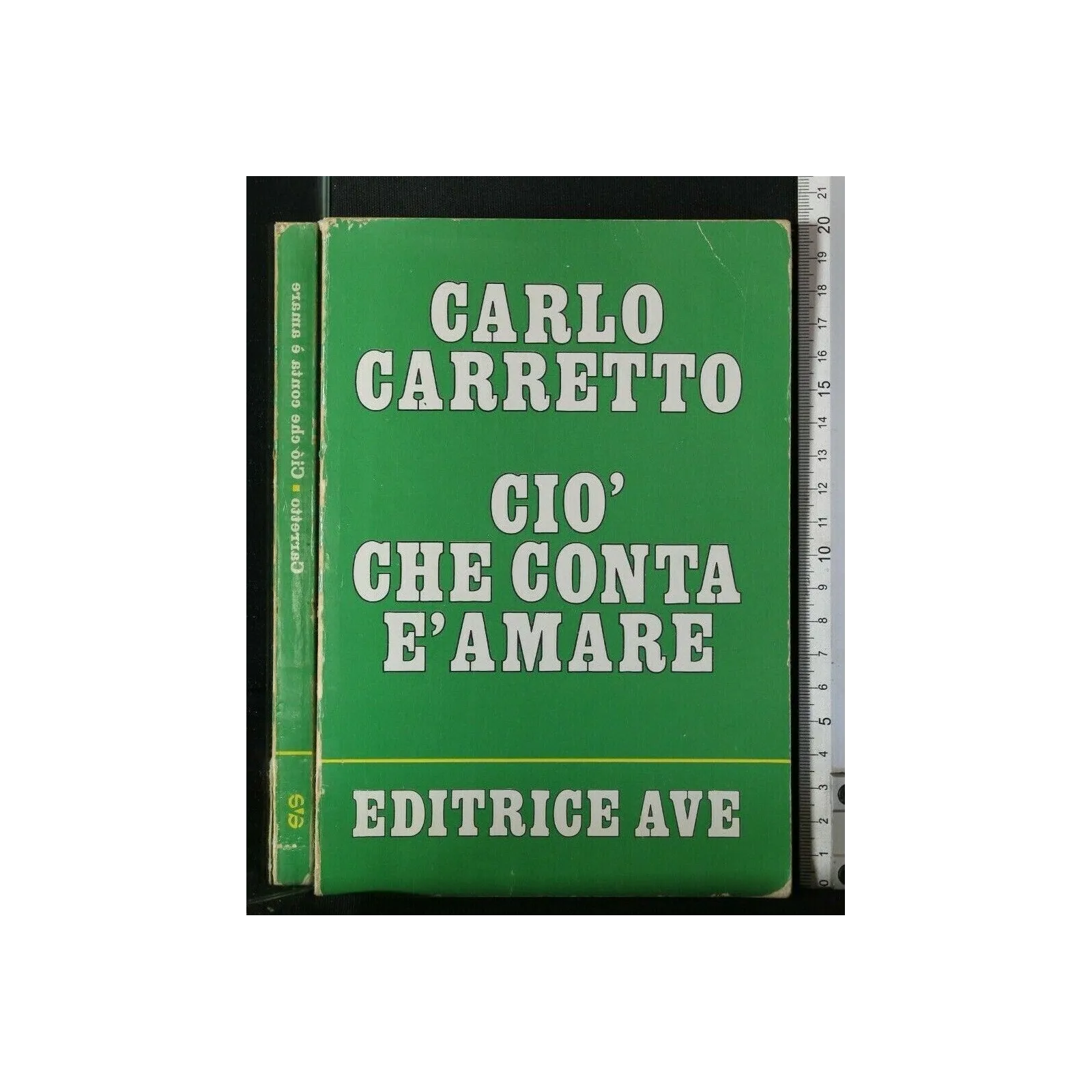 CIO' CHE CONTA E' AMARE