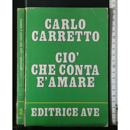 CIO' CHE CONTA E' AMARE