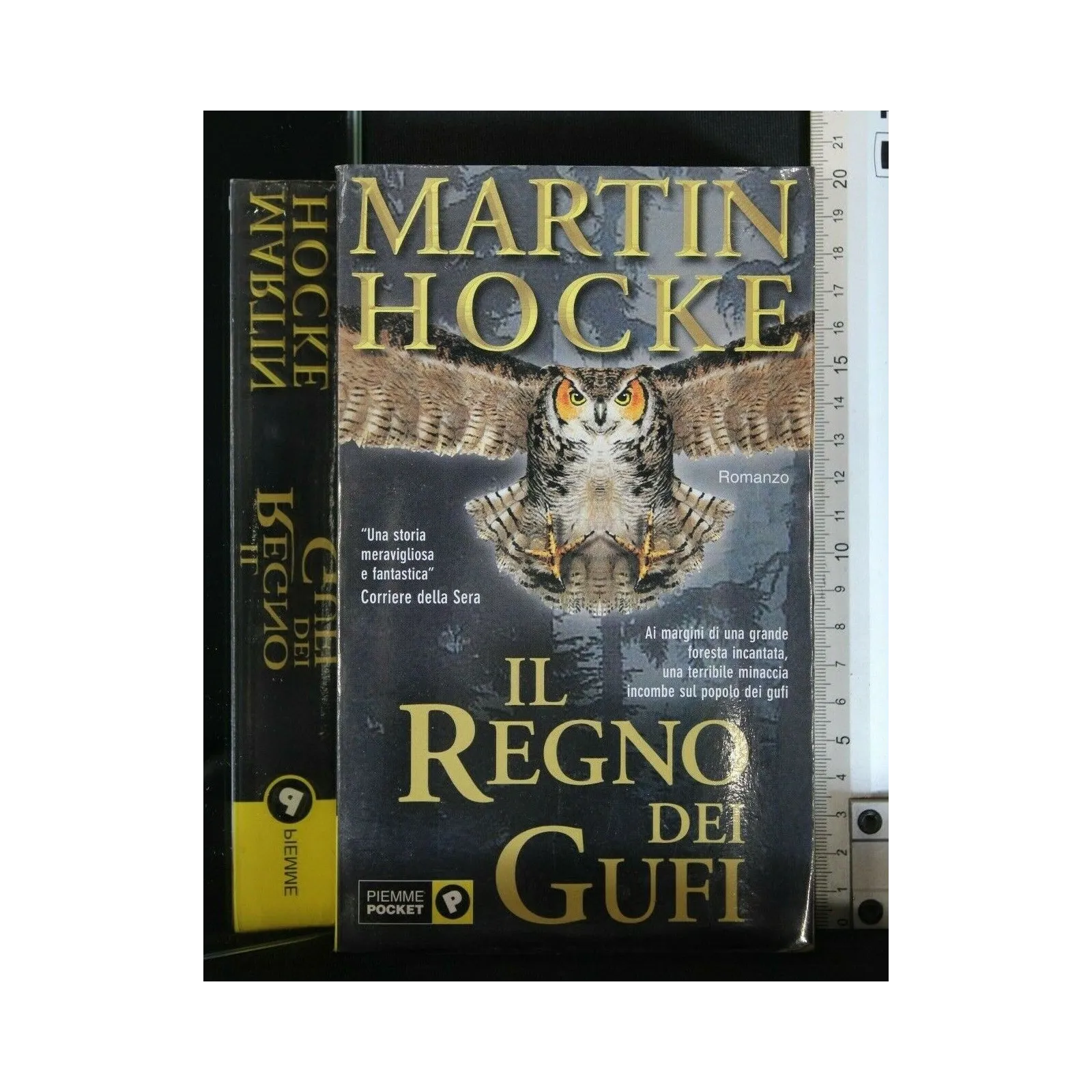 IL REGNO DEI GUFI