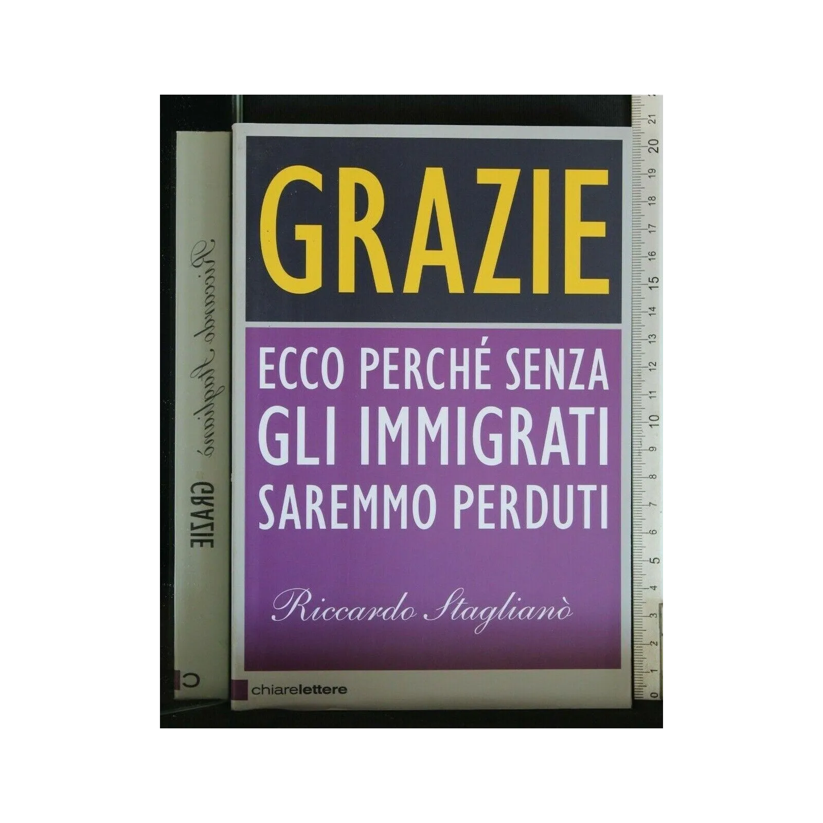 GRAZIE ECCO PERCHÉ SENZA GLI IMMIGRATI SAREMMO PERDUTI
