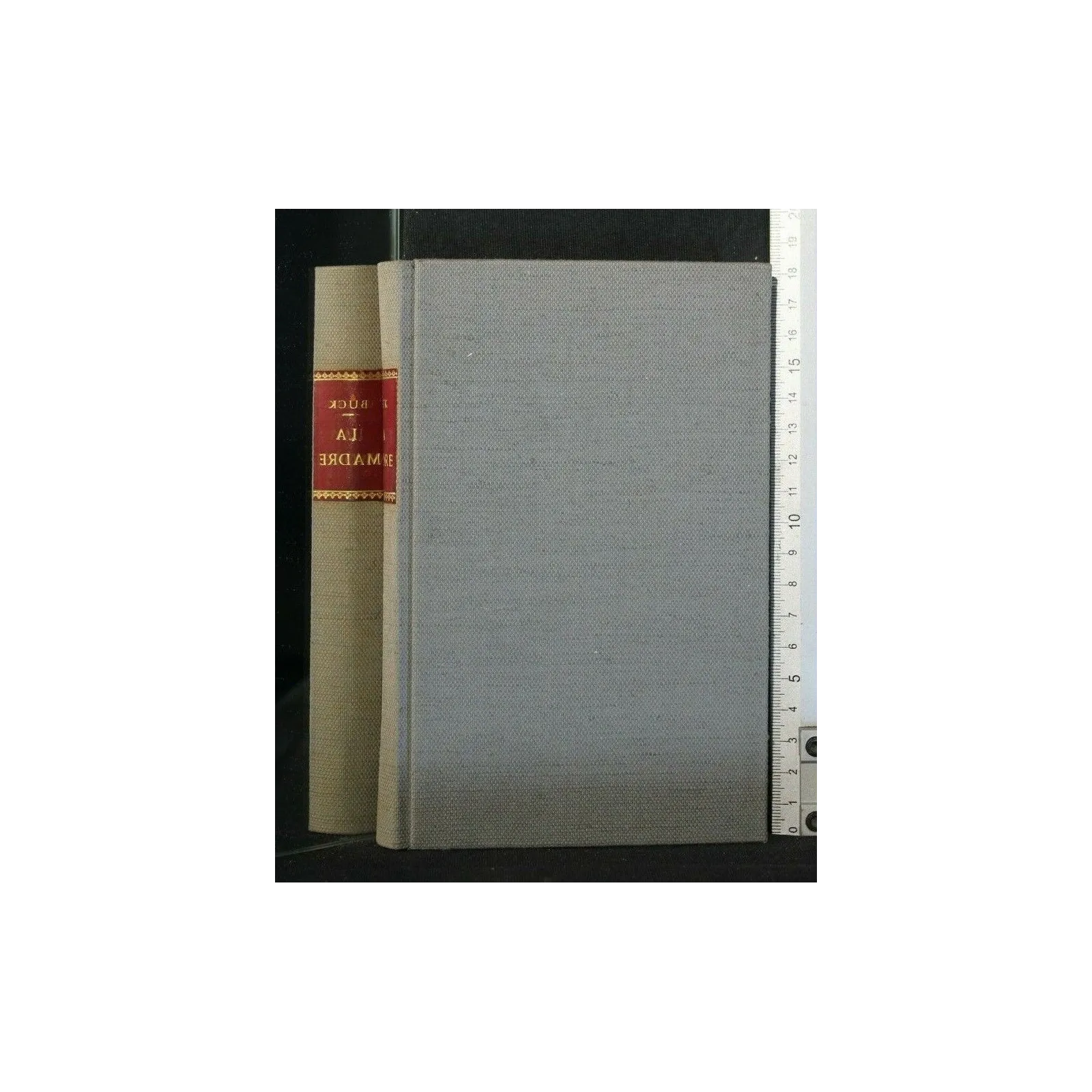 LA MADRE