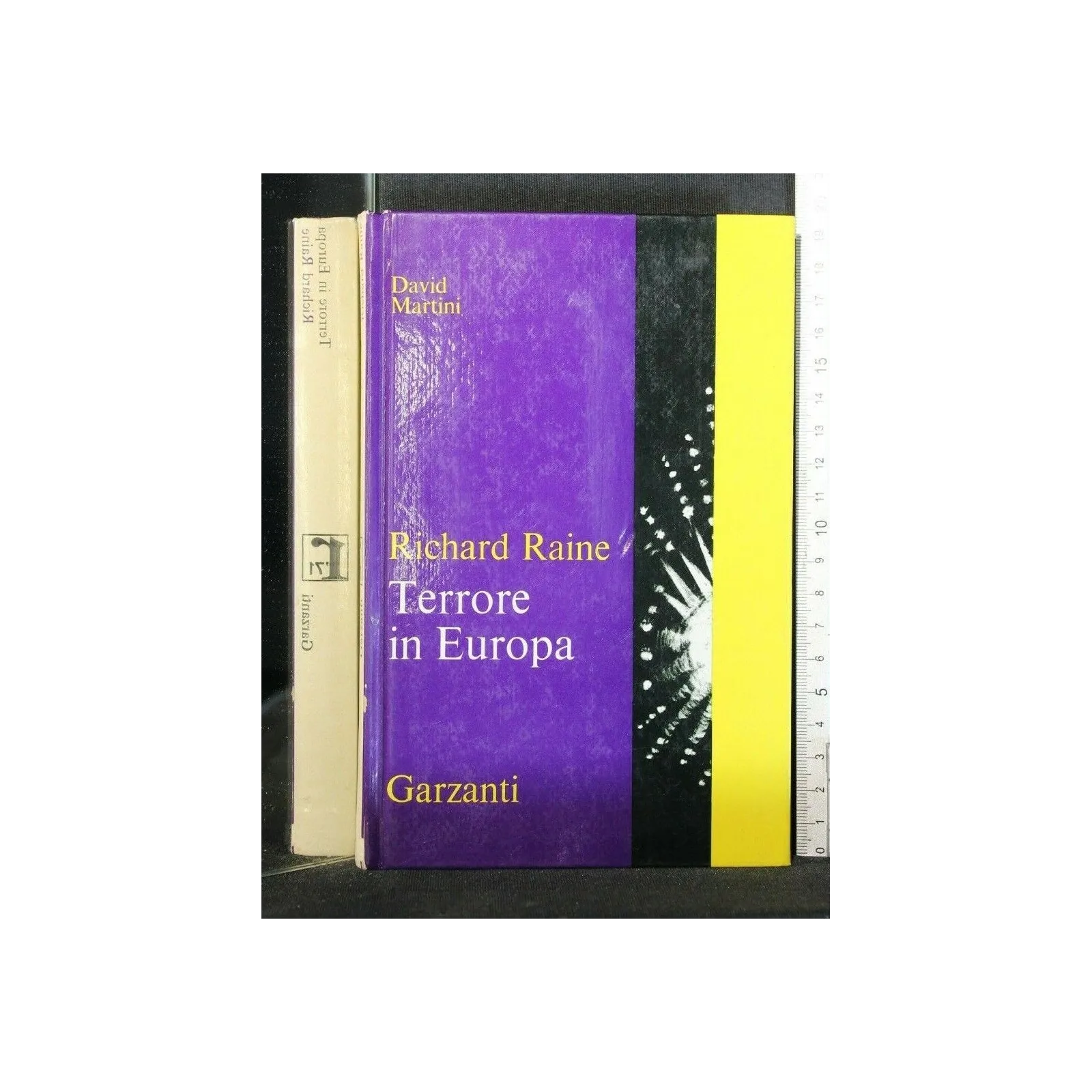 TERRORE IN EUROPA DAVID MARTINI
