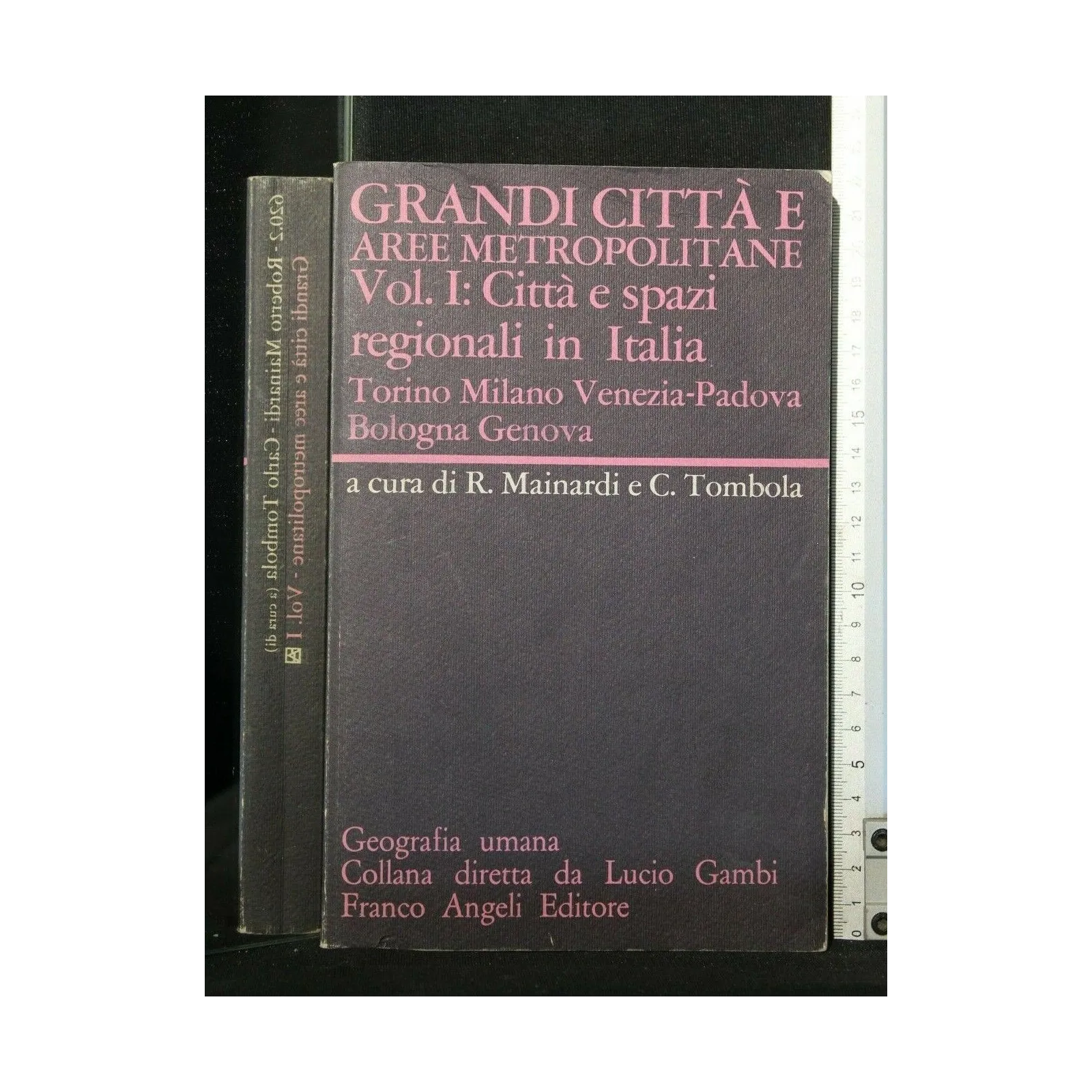 GRANDI CITTA' E AREE METROPOLITANE VOL. 1
