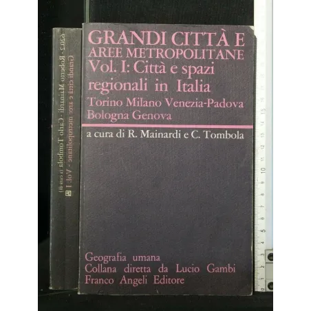 GRANDI CITTA' E AREE METROPOLITANE VOL. 1