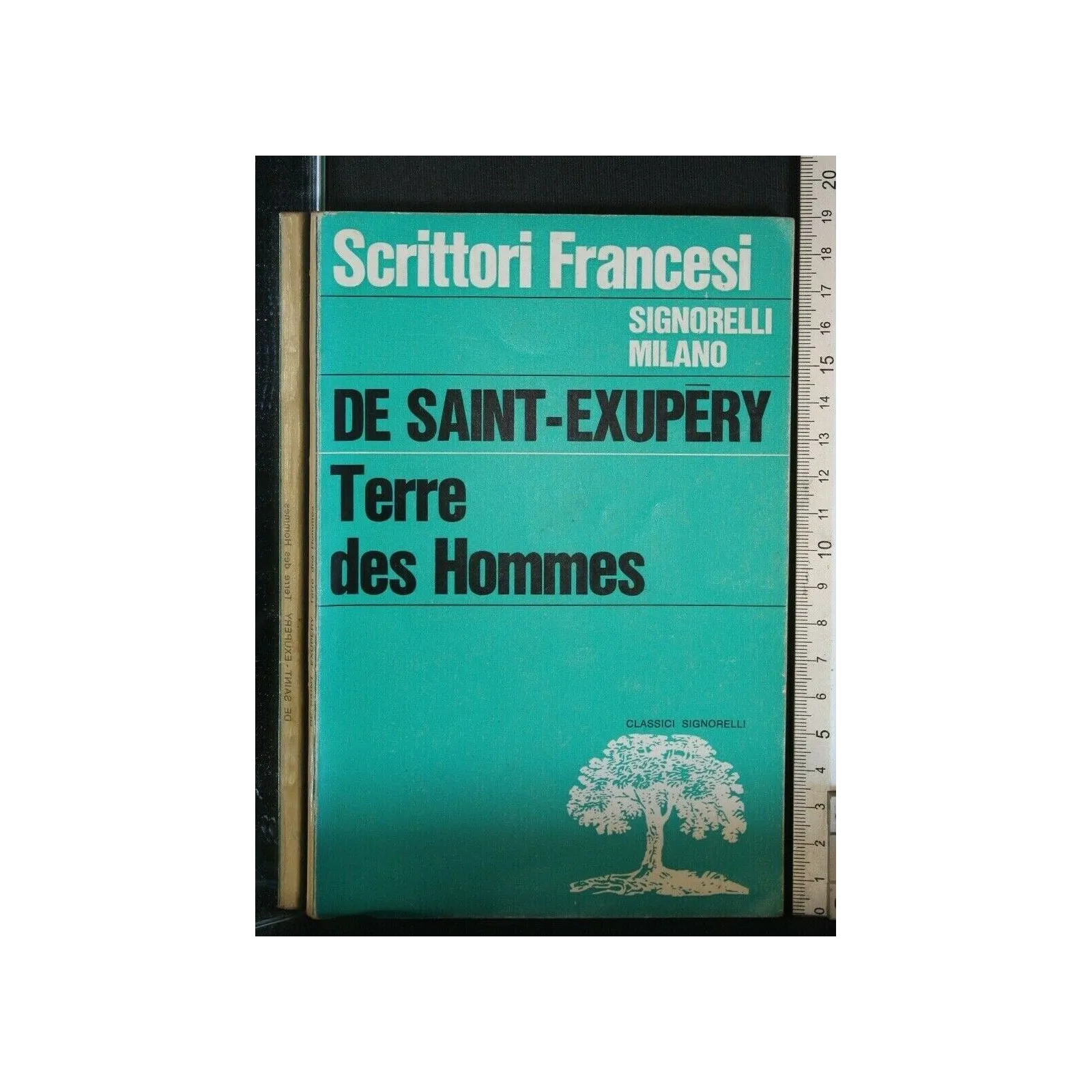 TERRE DES HOMMES