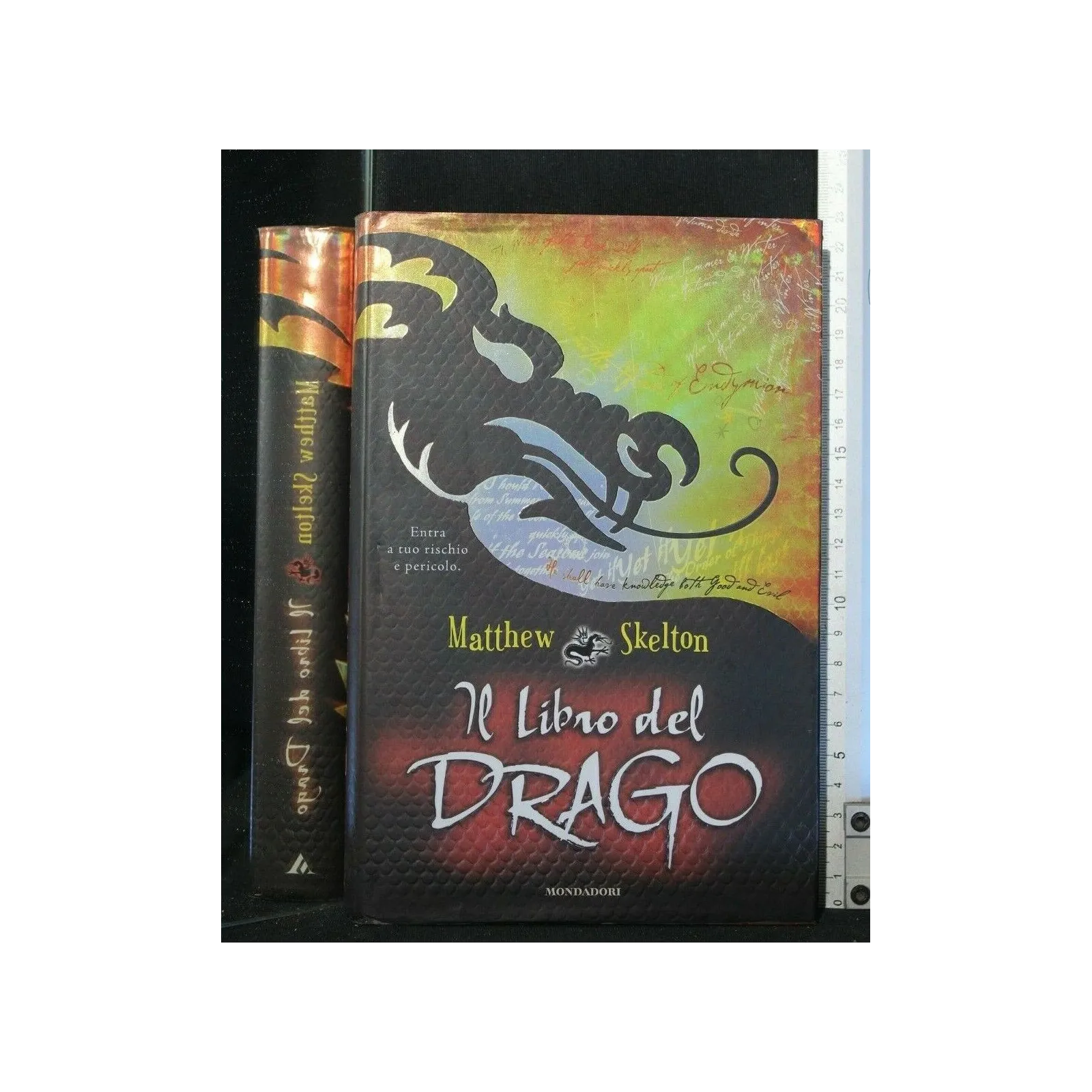 IL LIBRO DEL DRAGO