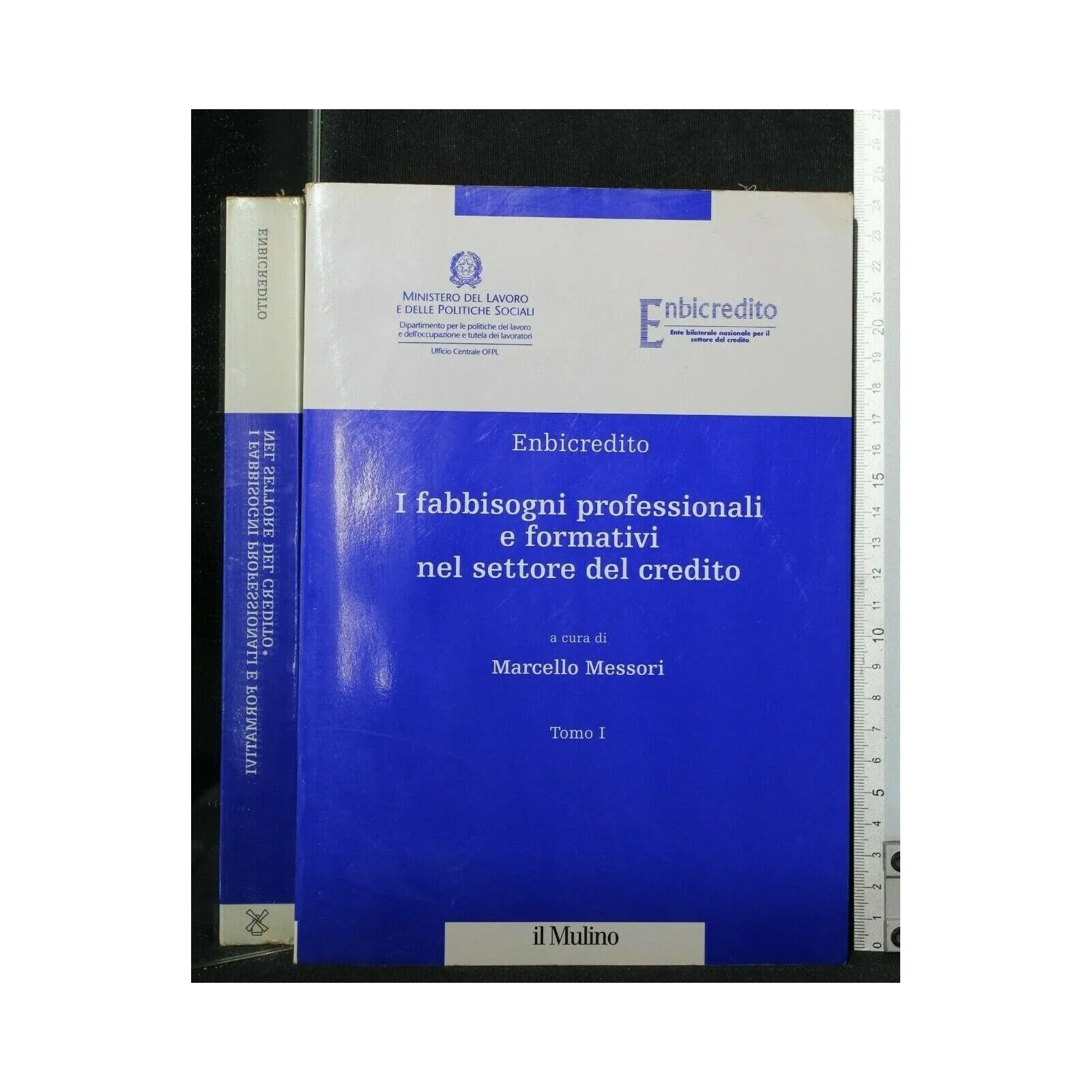 I FABBISOGNI PROFESSIONALI E FORMATIVI NEL SETTORE DEL CREDITO